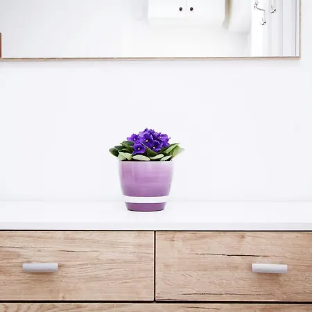Apartment Anica *